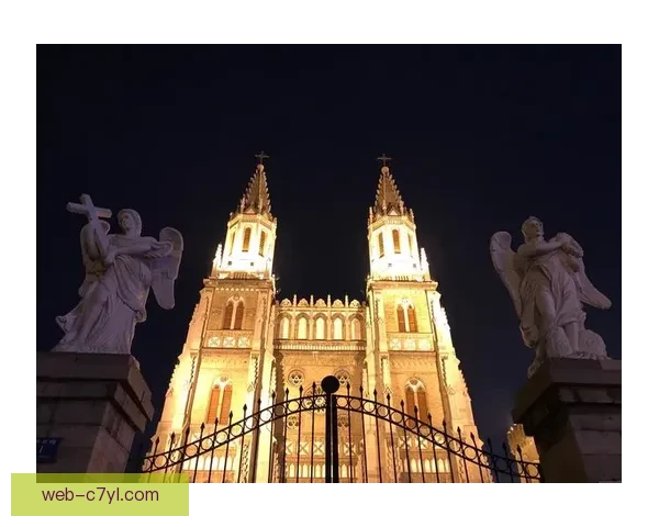 佩德里：全力以赴接近辉煌夜晚