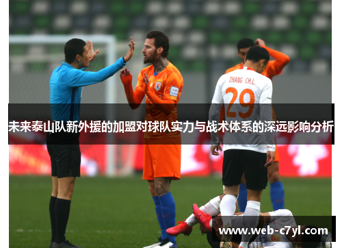 未来泰山队新外援的加盟对球队实力与战术体系的深远影响分析