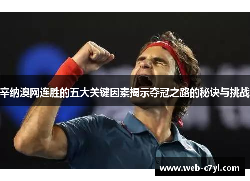 辛纳澳网连胜的五大关键因素揭示夺冠之路的秘诀与挑战