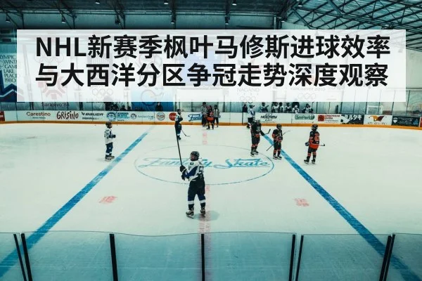 ice hockey arena game action